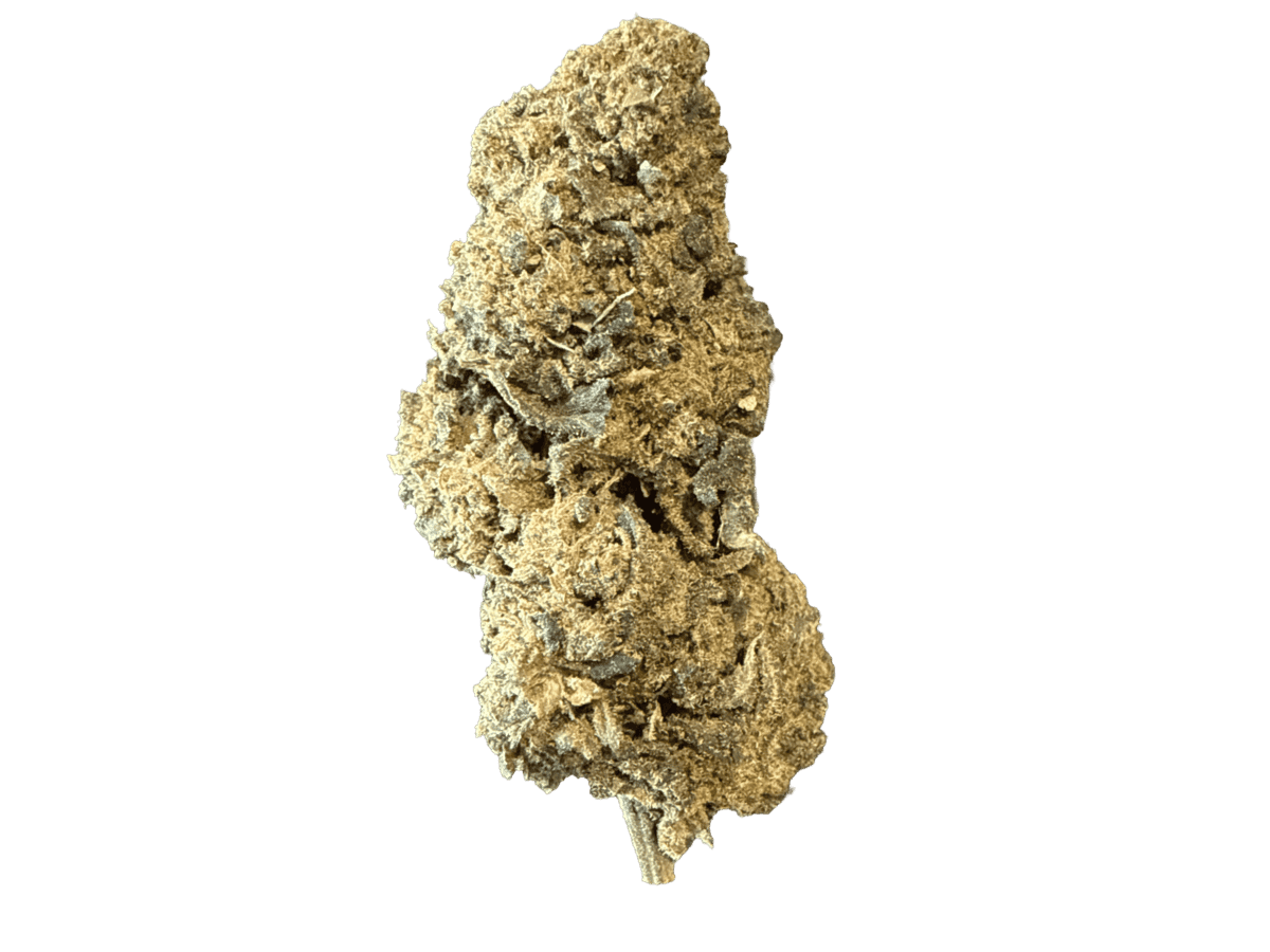 CBN