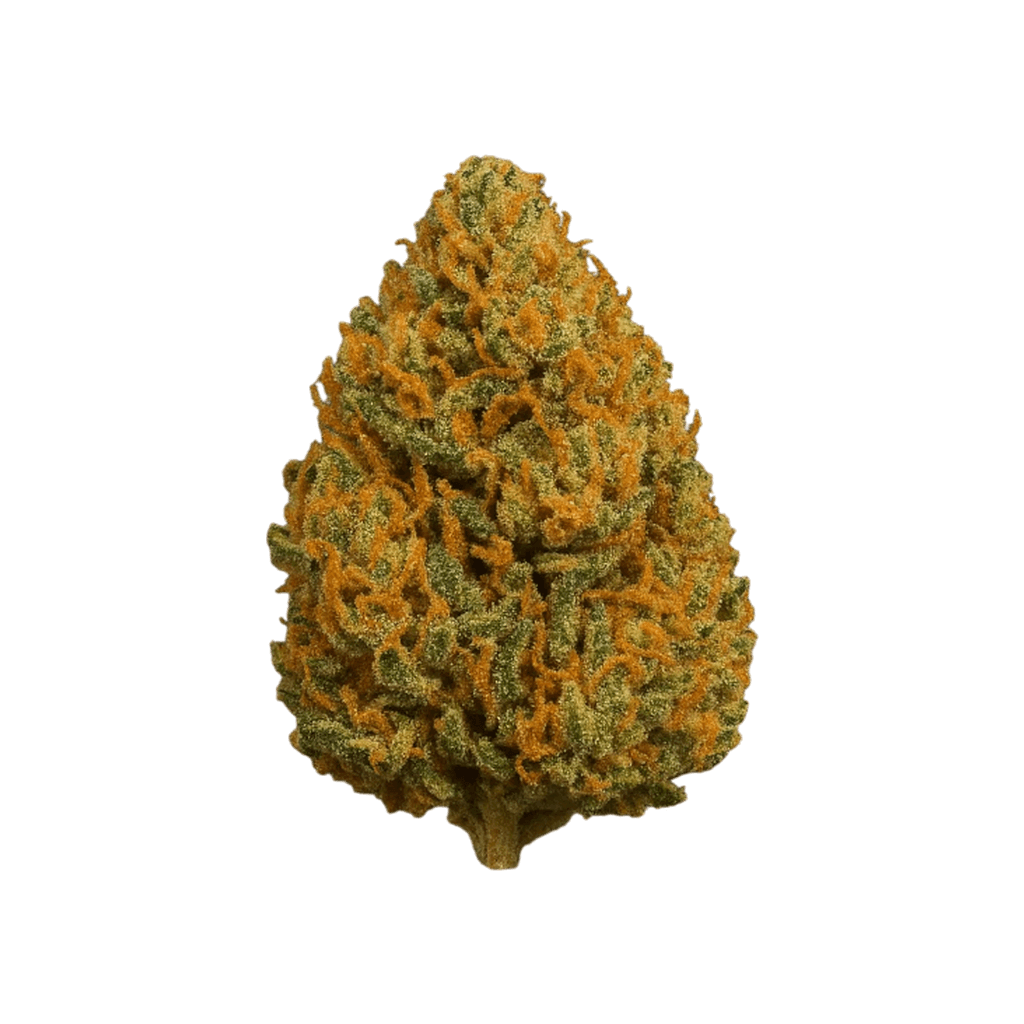 Mango haze Xtrem
