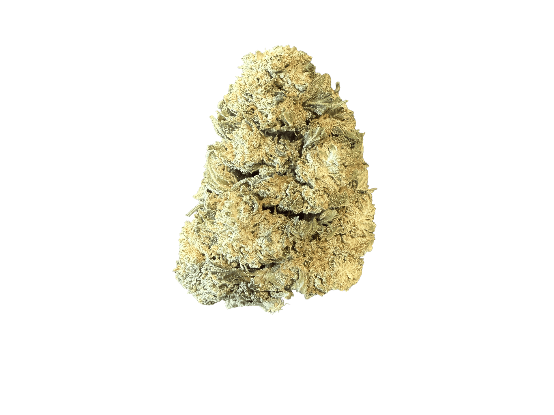CBG