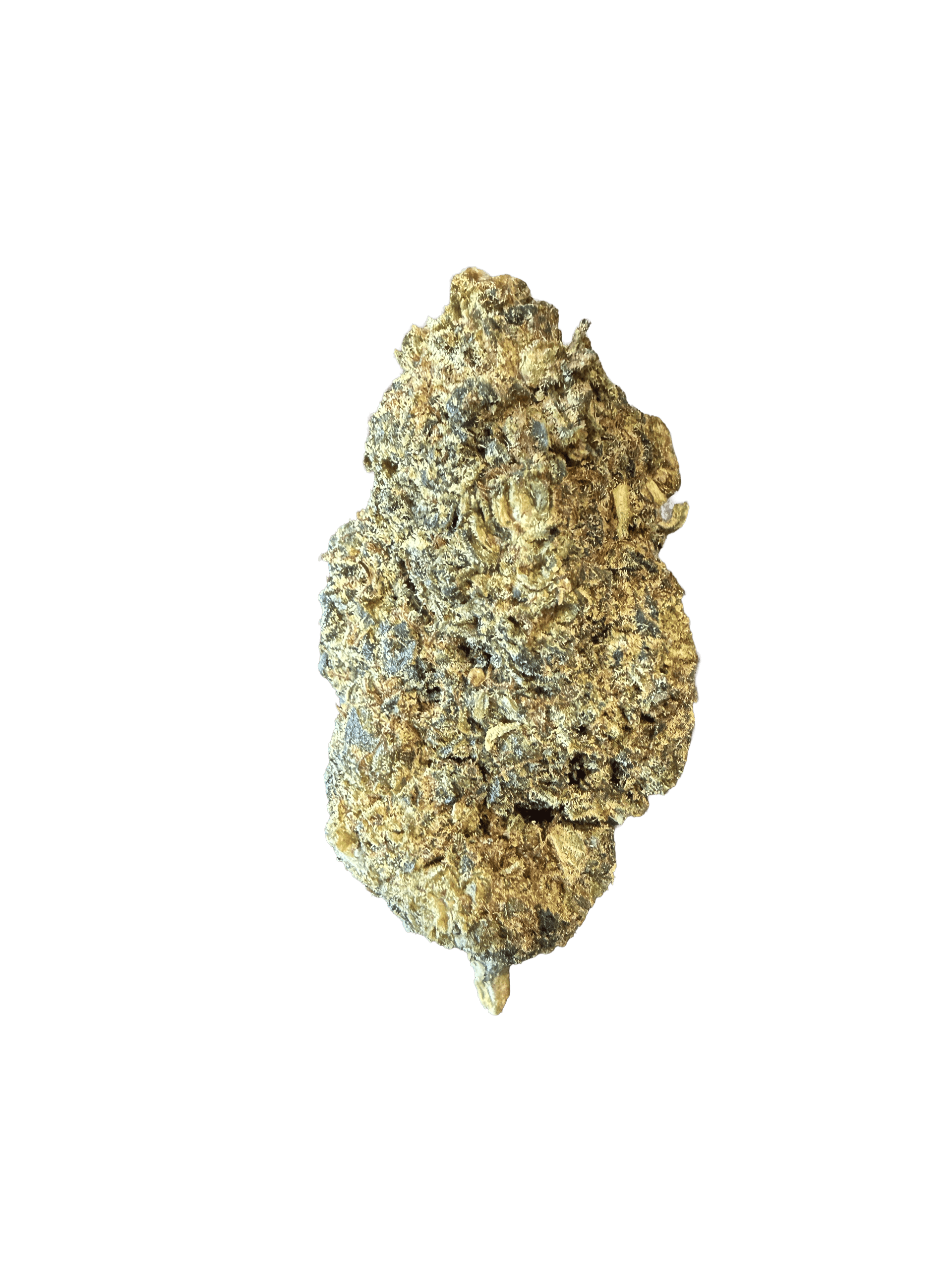 Blueberry Xtrem