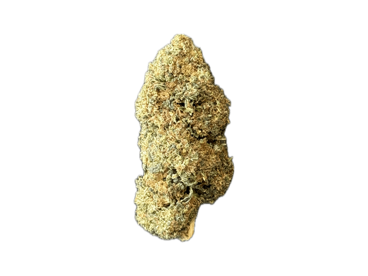 Cali croco Xtrem