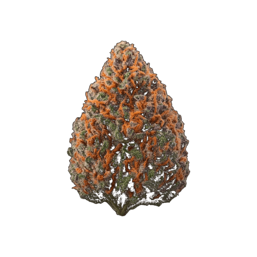 Gelato Xtrem