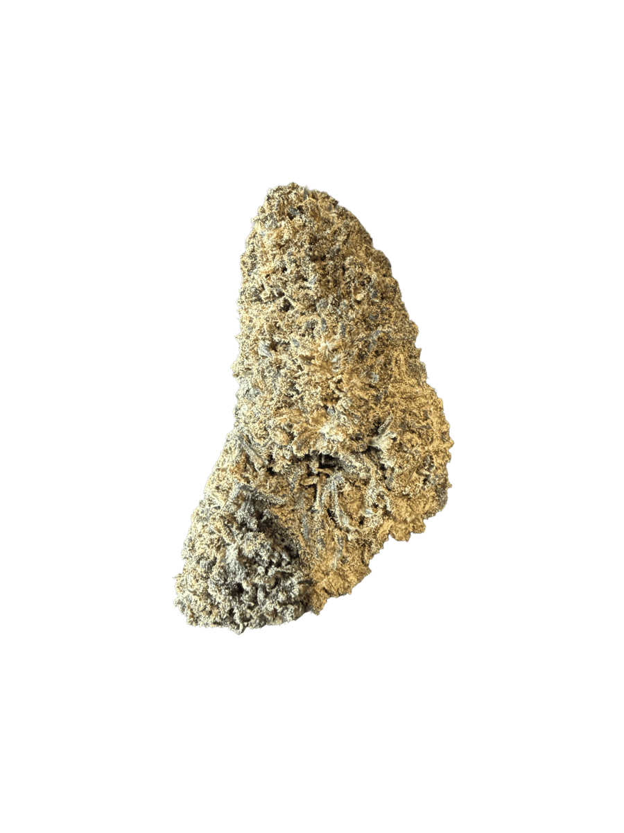Jack herer Xtrem