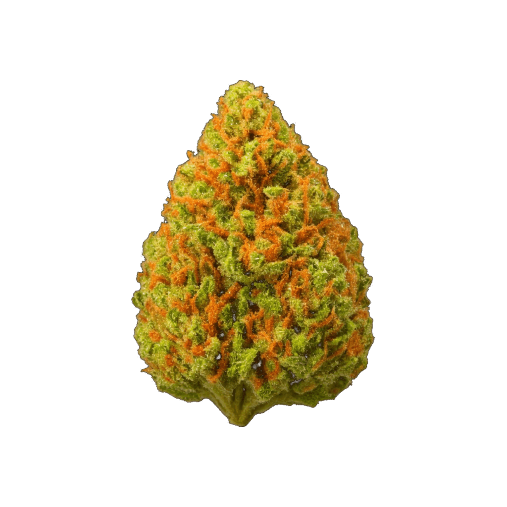 Jack herer Xtrem
